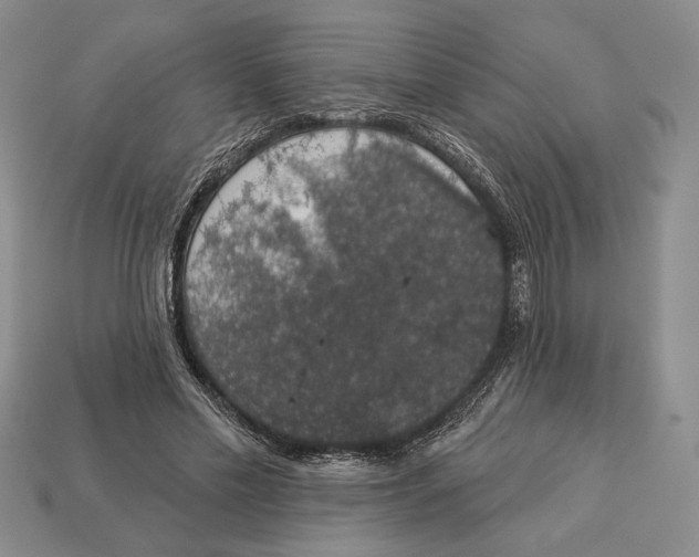 X0000112910589200909211033
