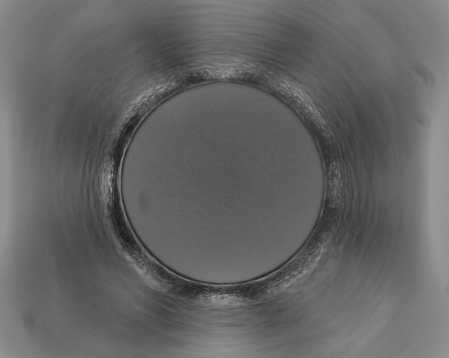 X0000112910590200909211033