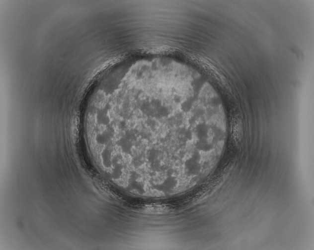 X0000112910591200909211033