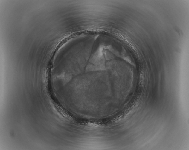 X0000112910592200909211033