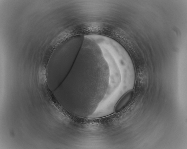 X0000112910593200909211033