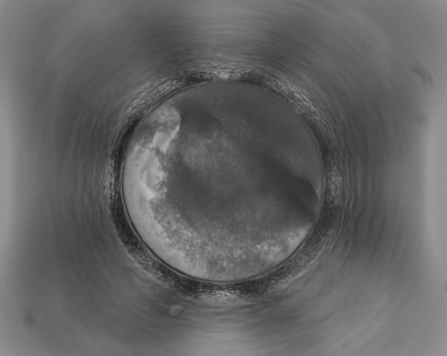 X0000112910594200909211033