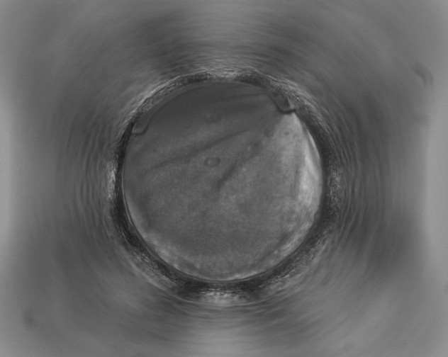 X0000112910596200909211033