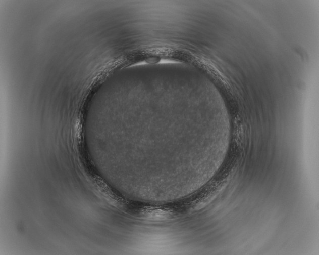 X0000112910597200909211033