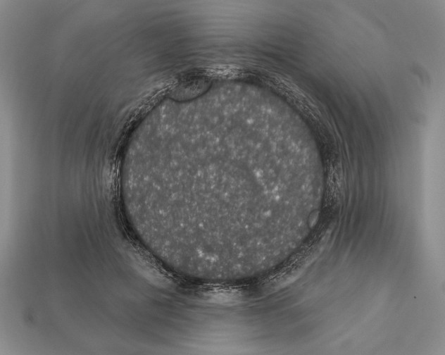 X0000112910601200909211033