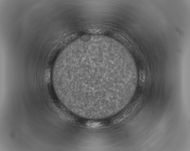 X0000112910602200909211033