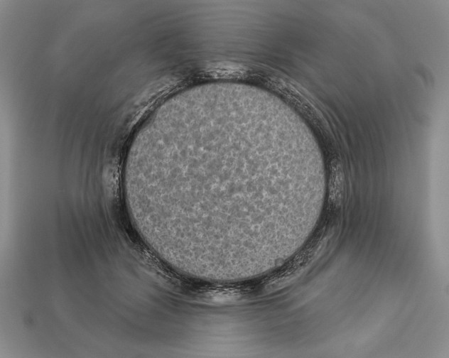 X0000112910604200909211033