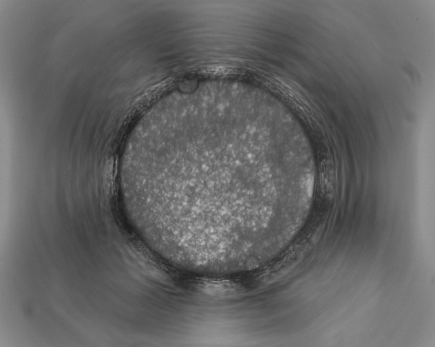 X0000112910605200909211033