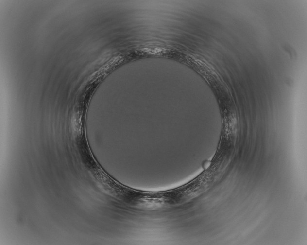 X0000112910606200909211033