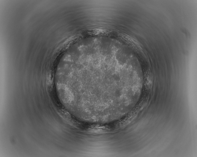 X0000112910607200909211033