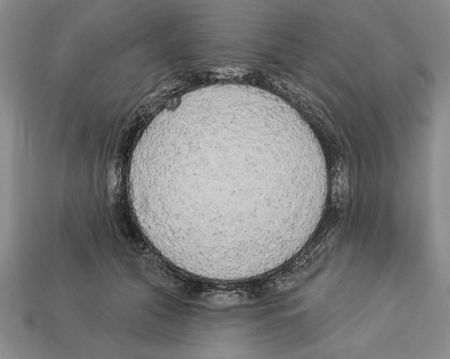 X0000112910608200909211032