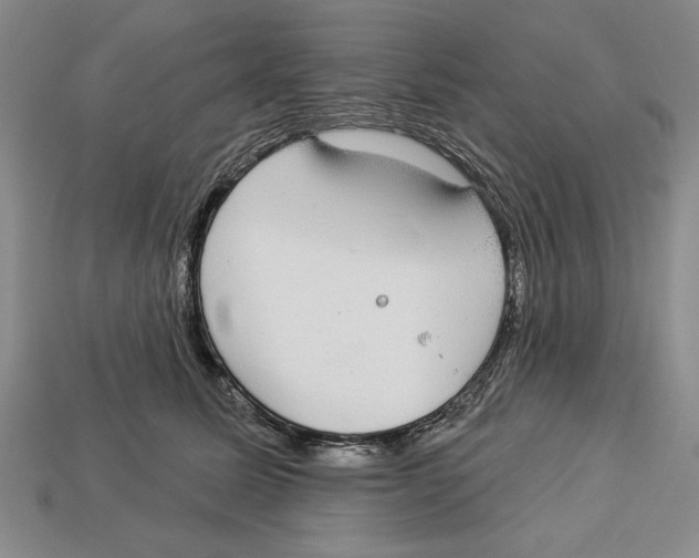 X0000112910611200909211032