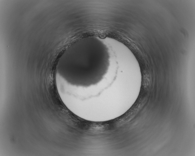 X0000112910613200909211032