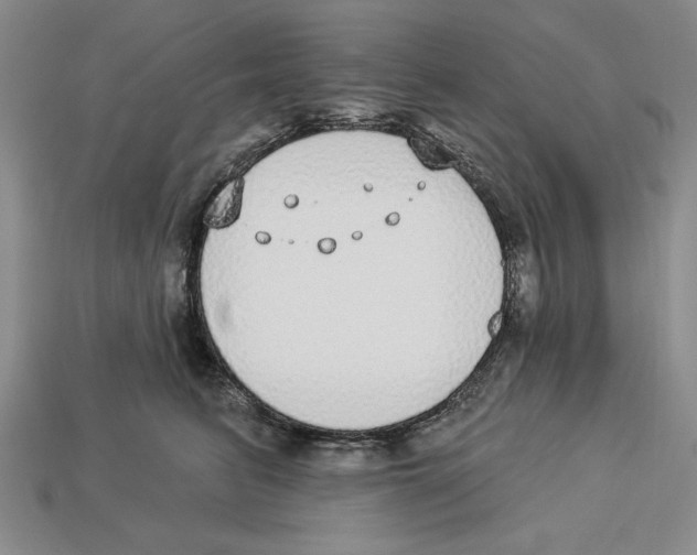 X0000112910615200909211032