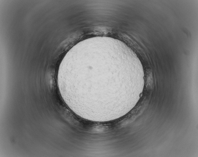 X0000112910616200909211032