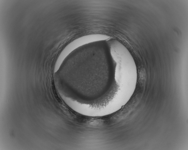 X0000112910617200909211032