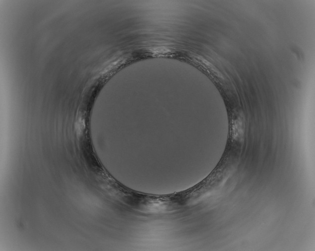 X0000112910618200909211032