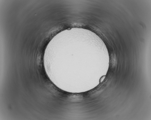 X0000112910619200909211032