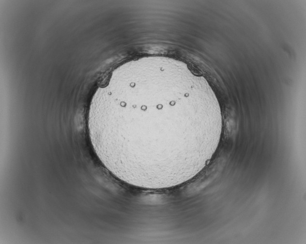 X0000112910620200909211032