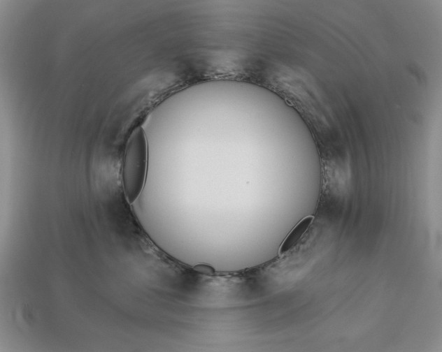 X0000112910621200909211032