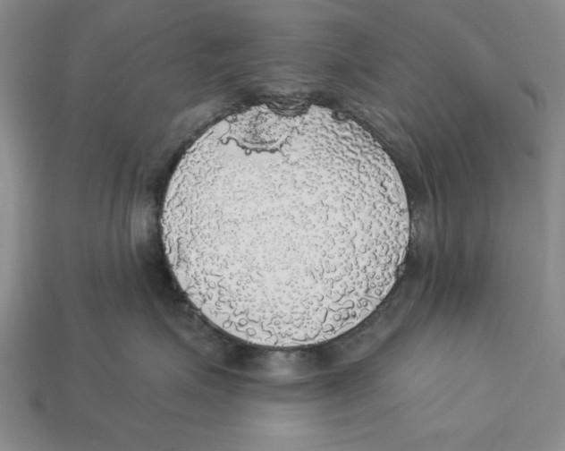 X0000112910623200909211032
