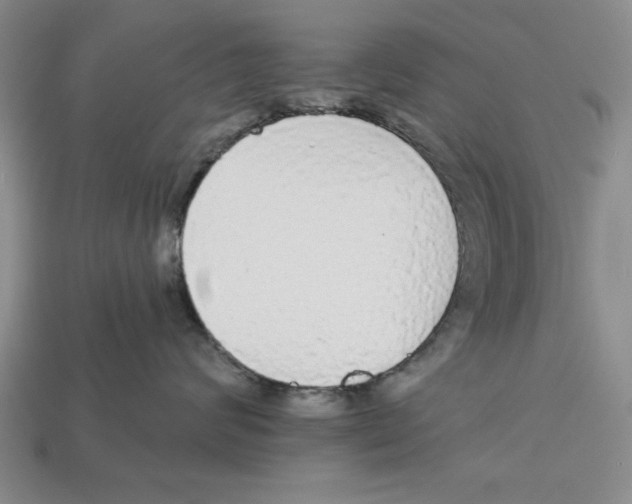 X0000112910624200909211032