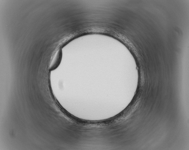 X0000112910625200909211032