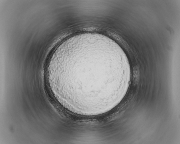 X0000112910626200909211032
