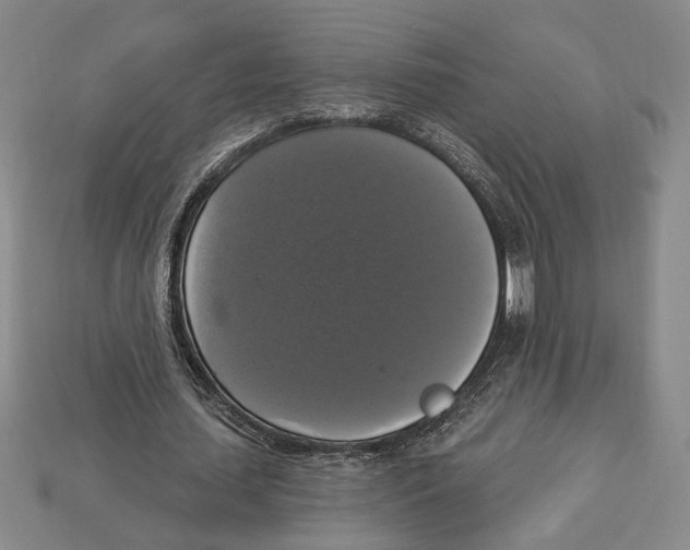 X0000112910627200909211032