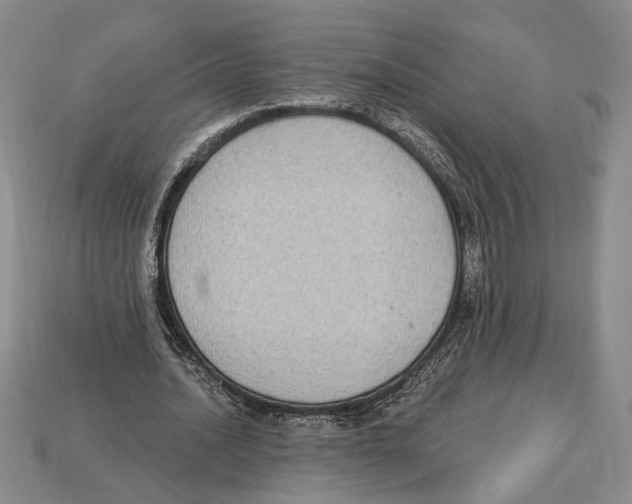 X0000112910628200909211032