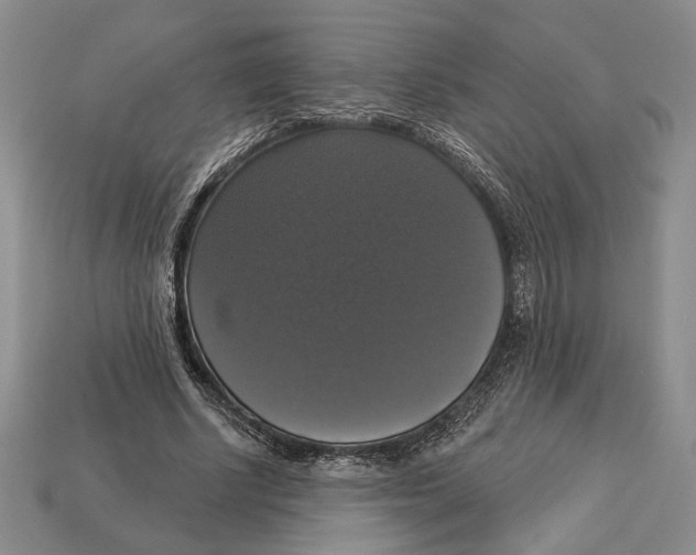 X0000112910634200909211032
