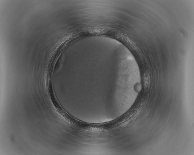 X0000112910637200909211032