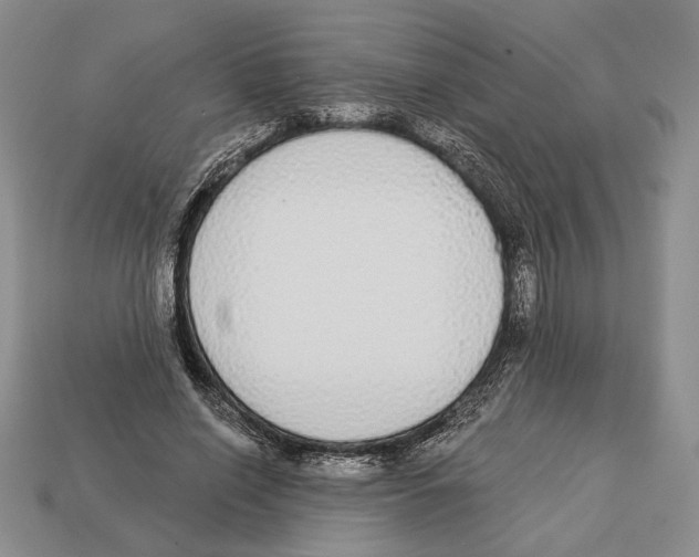 X0000112910638200909211032