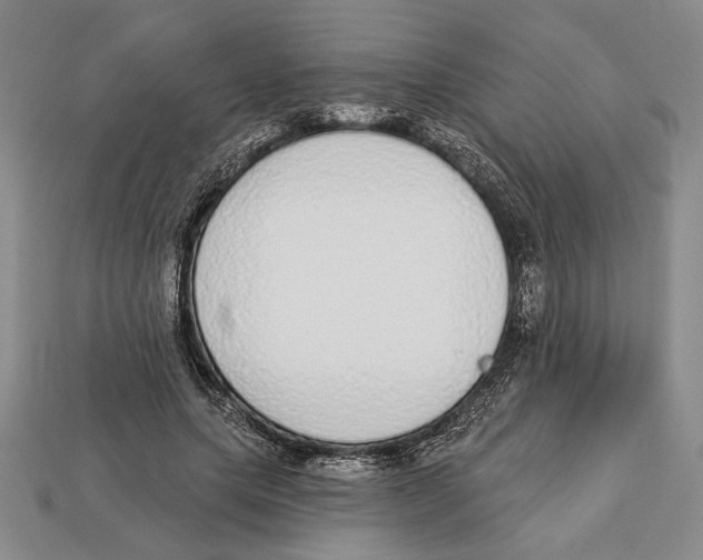 X0000112910639200909211032
