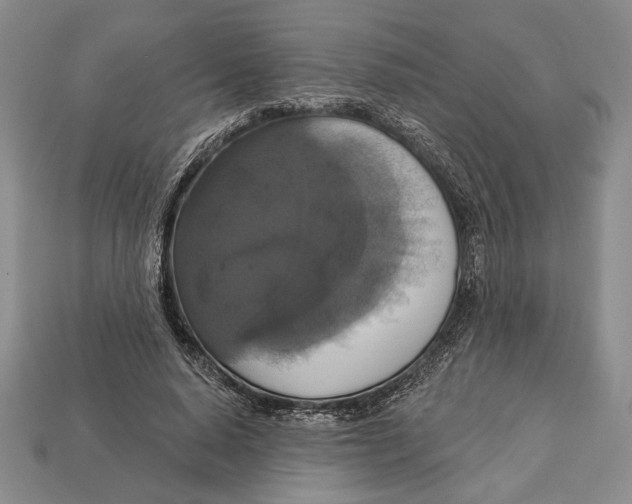 X0000112910640200909211032