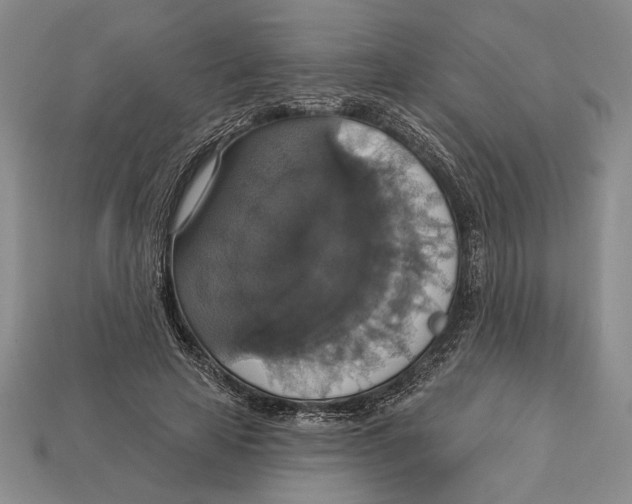 X0000112910641200909211032