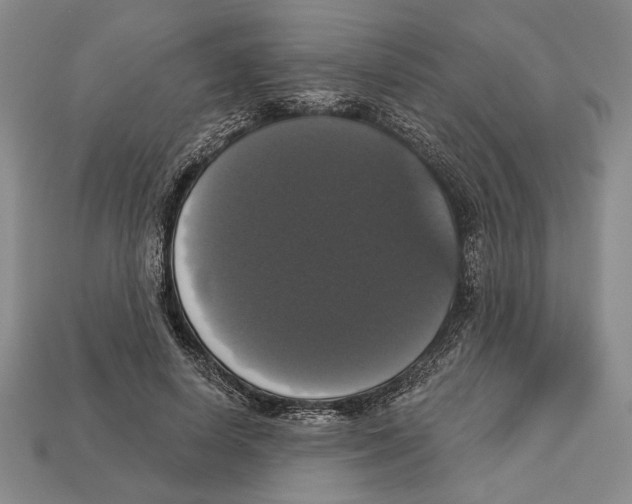 X0000112910642200909211032