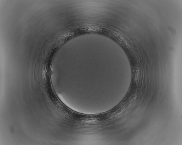 X0000112910643200909211032