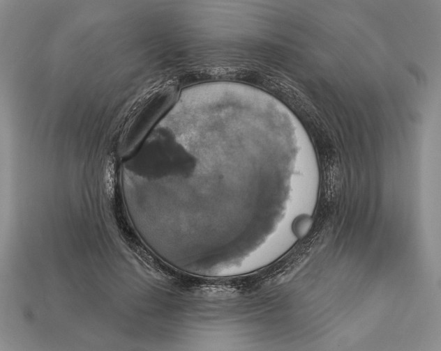 X0000112910644200909211032