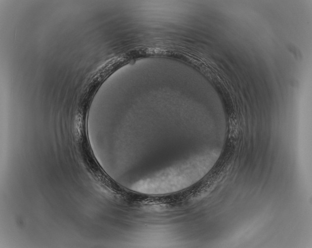 X0000112910648200909211032
