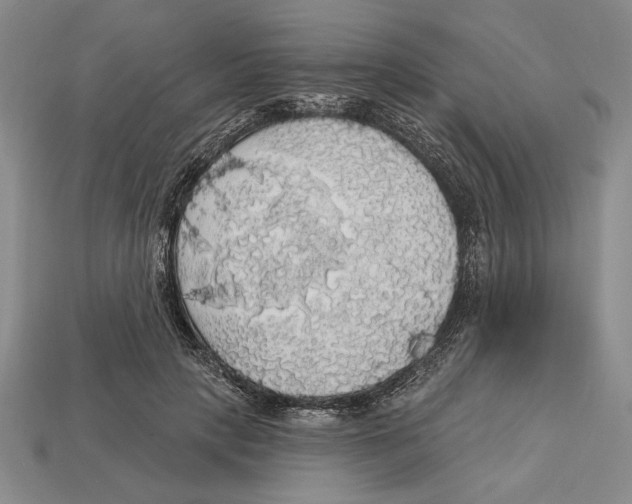 X0000112910649200909211032