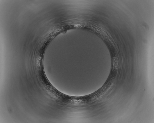 X0000112910650200909211032