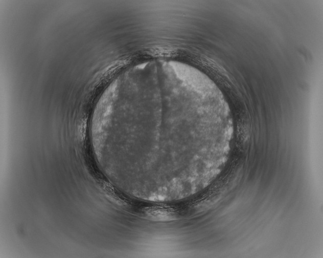 X0000112910652200909211032