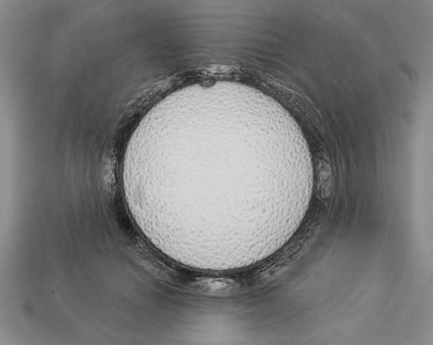 X0000112910654200909211032