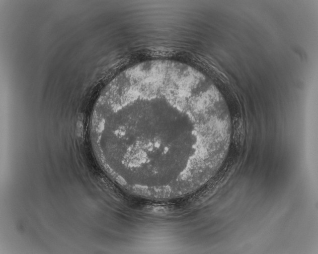 X0000112910655200909211032