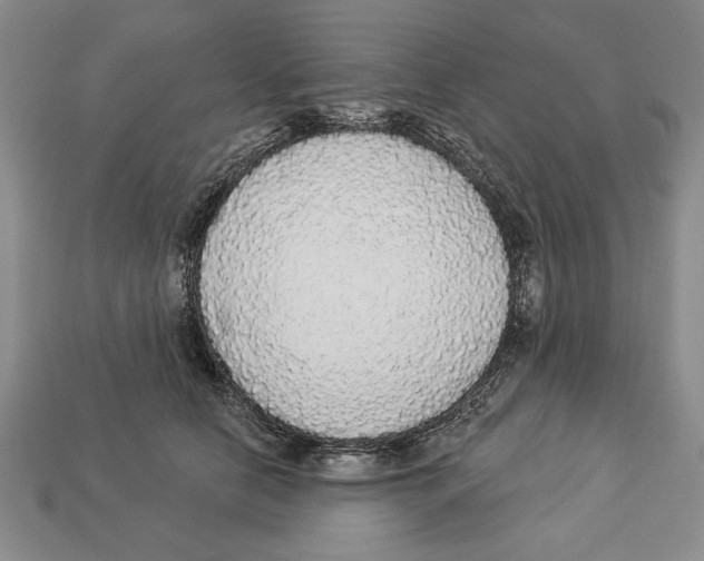 X0000112910658200909211032