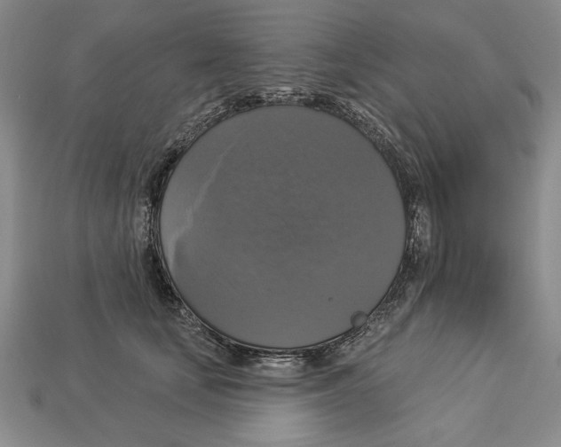 X0000112910659200909211032