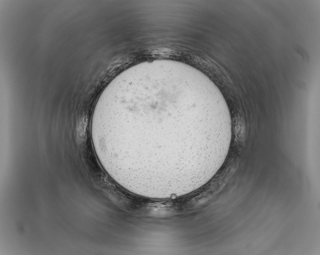 X0000112910660200909211032