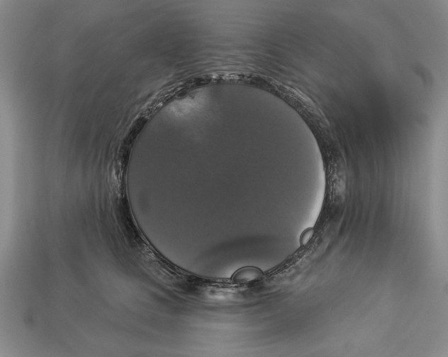 X0000112910661200909211032
