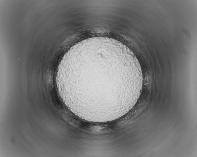 X0000112910662200909211032
